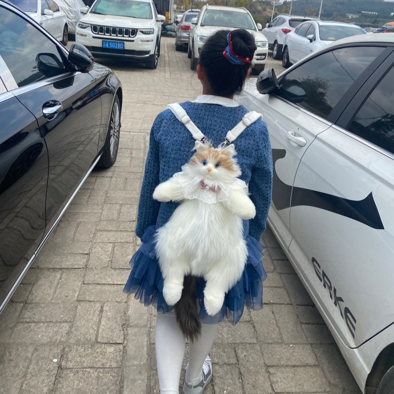 2026 New In Stock Ragdoll Cat  - đánh giá và giá Travel Accessories Gift Ideas